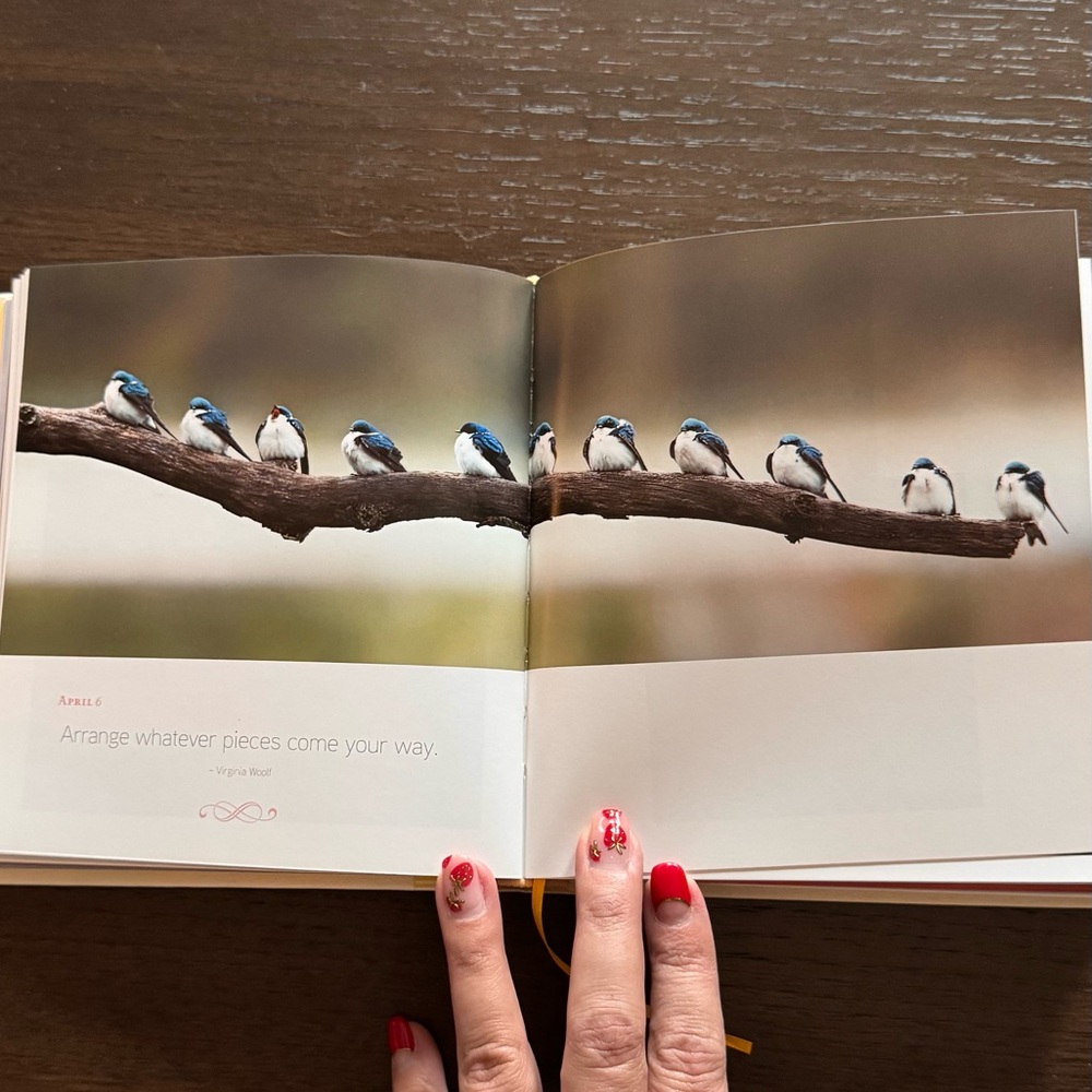 Daily Joy Hardcover Coffee Table book